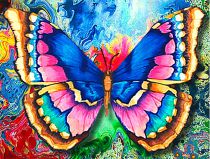 1130 Рисунок бабочки, Алмазная Мозаика