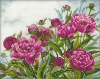 M272 Пионы (Peonies), RTO