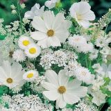 1195 Белые полевые цветы, Алмазная Мозаика