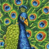 71-07242 Красочный Павлин (Colorful Peacock), Dimensions