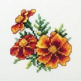 H243 Бархатцы (Marigold), RTO