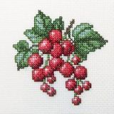 H252 Красная смородина (Redcurrant), RTO