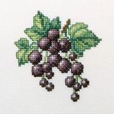 H253 Чёрная смородина (Blackcurrant), RTO