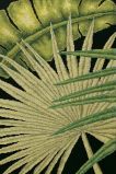 M447 Пальмовые листья 2 (Palm leaves 2), RTO