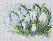 M585 Ранние подснежники (Early snowdrops), RTO