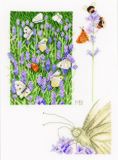 PN-0147505 Лавандовое поле с бабочкой (Lavender field with butterfly), Lanarte