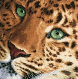 PN-0155213 Леопард (Leopard), Lanarte
